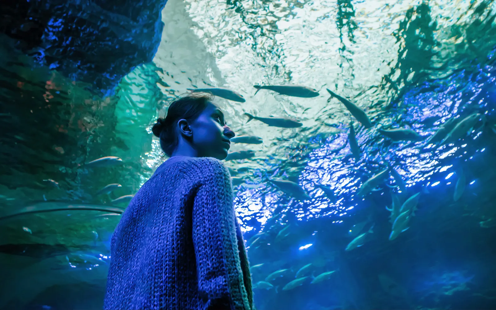 Monsters Aquarium Pattaya