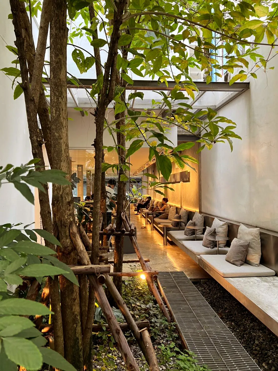 Lazebkk